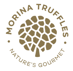 Morina Tartufi — Gastronomia e Natyrës
