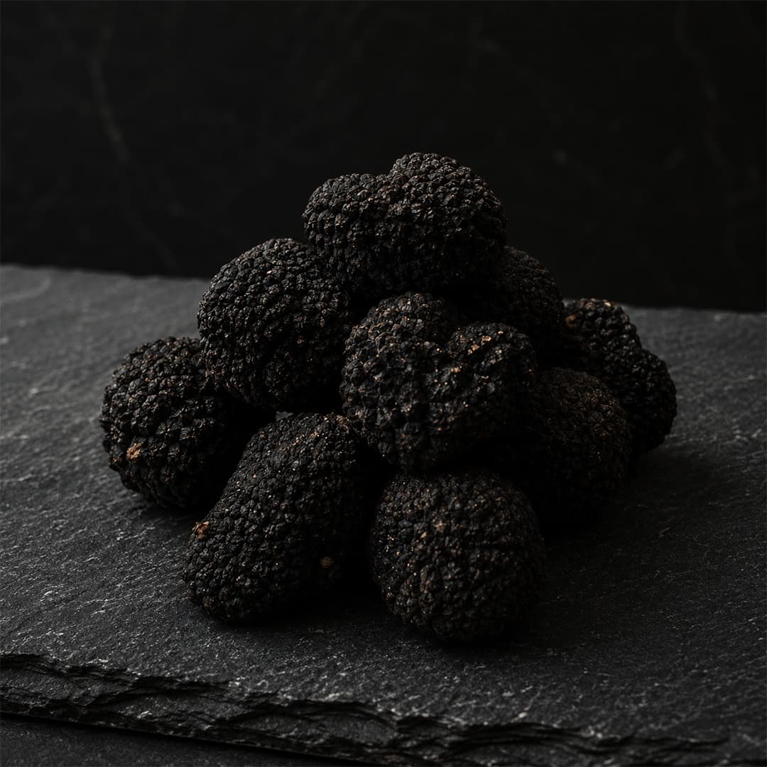 Premium black truffles on dark slate